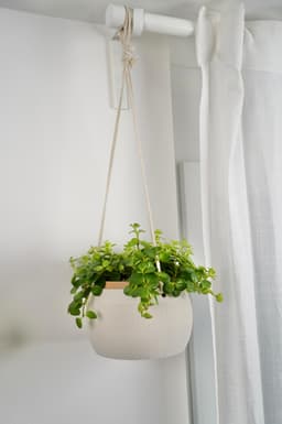 COCOS Hanging Planter 3d model