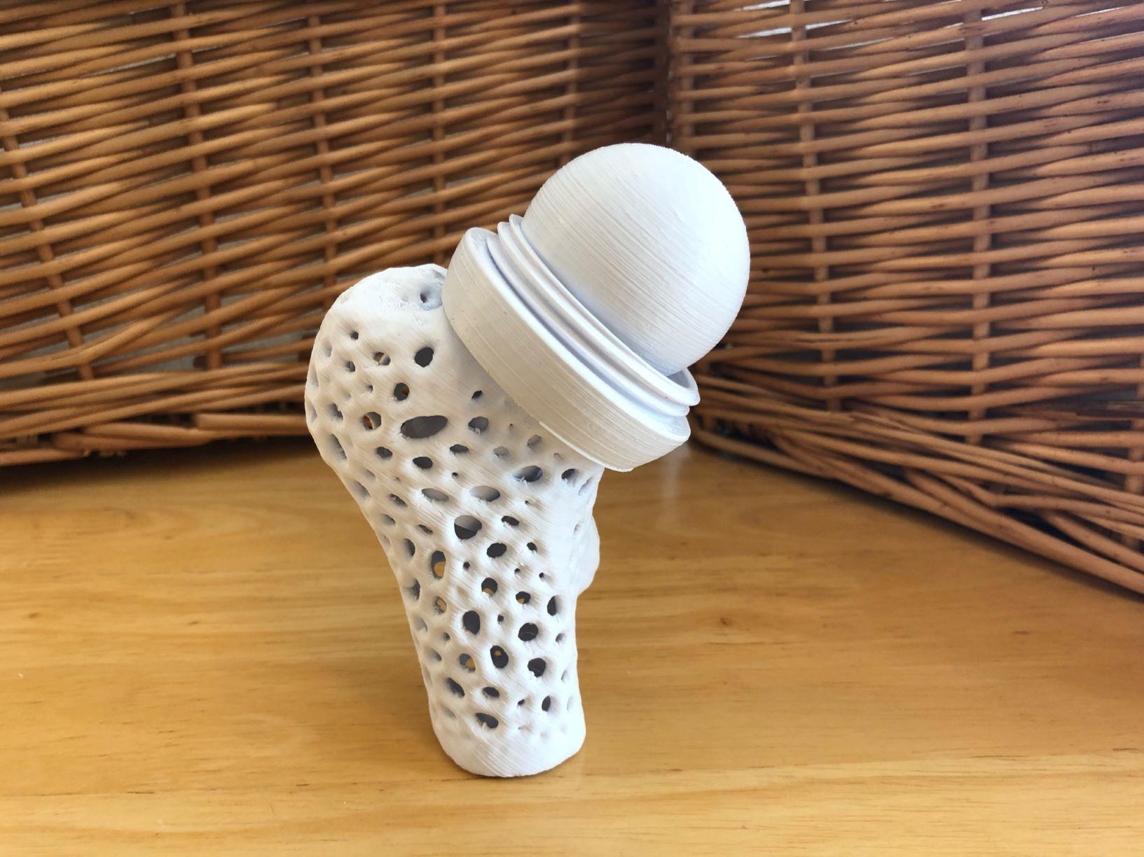 Pelvis Model with Adjustable Ball and Socket Acetabular Joint 3d model