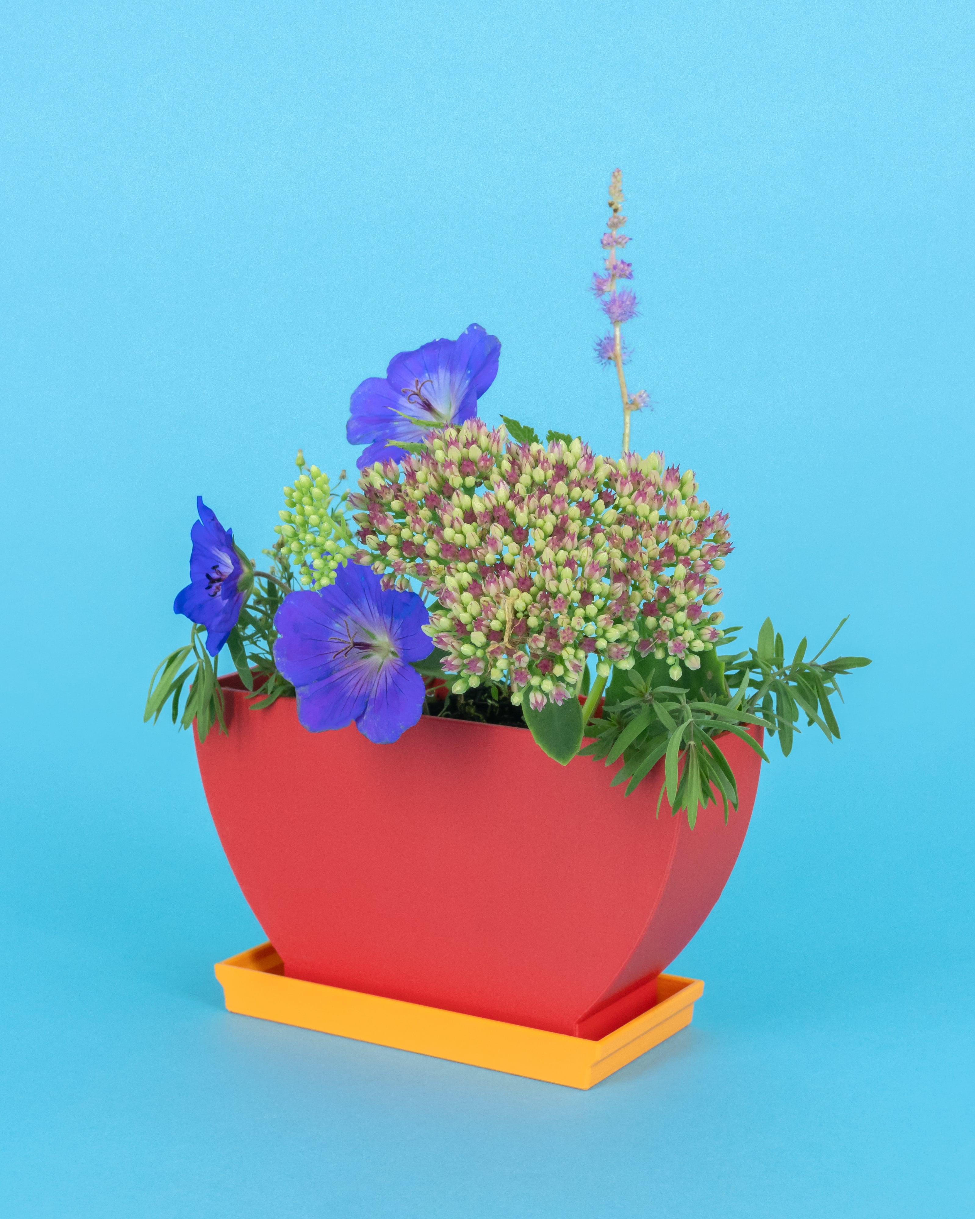 Flatland // Classic Bowl 3d model