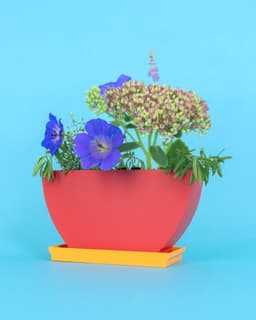 Flatland // Classic Bowl 3d model