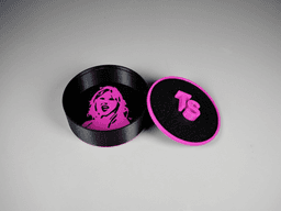 Taylor Swift Secret Box 3d model