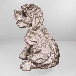 Portuguese water dog 3d model