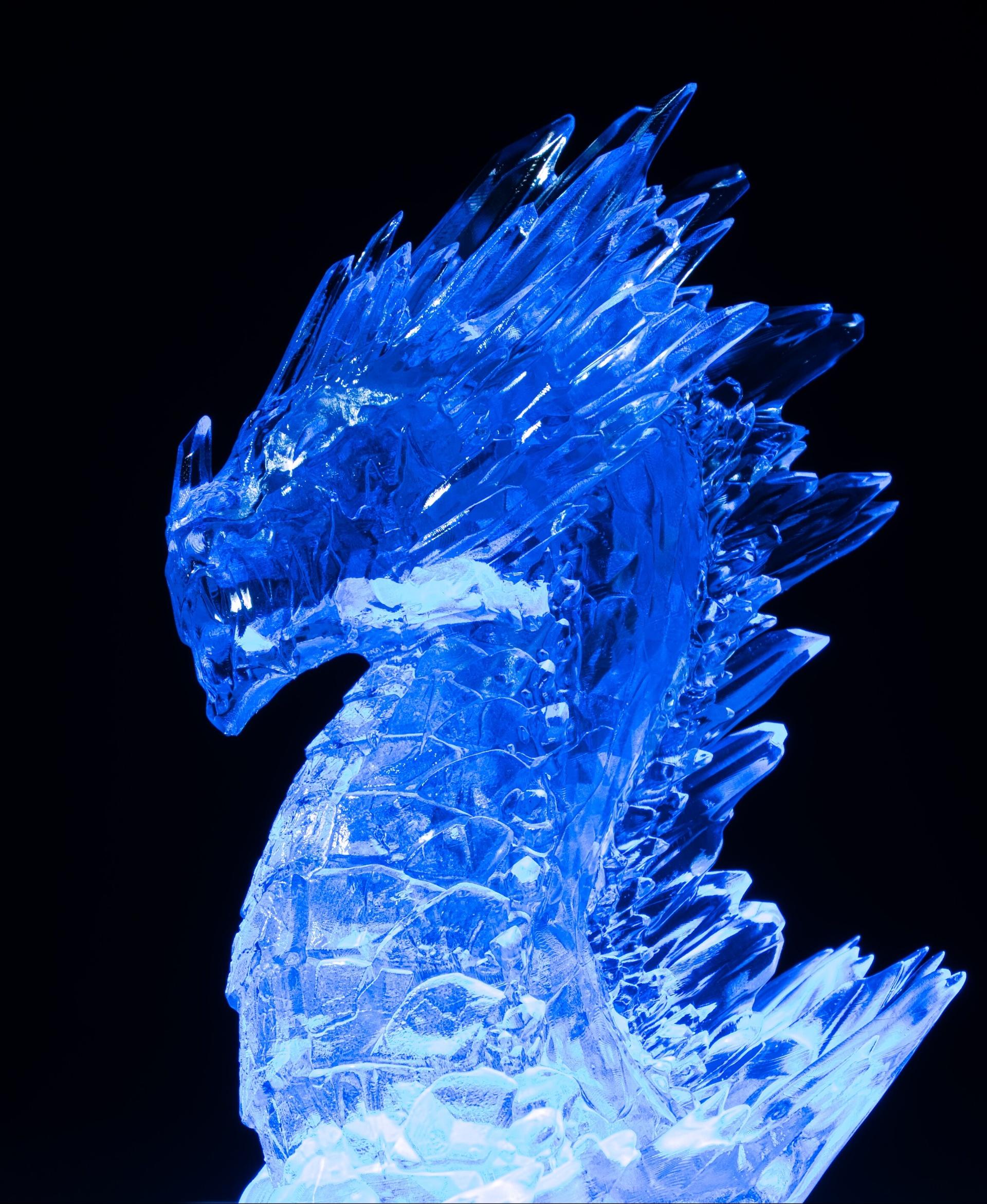 Ice Dragon (Pre-Supported) - Ice Dragon - Printed with Siraya Tech ultra - clear resin on an Elegoo Saturn - 3d model