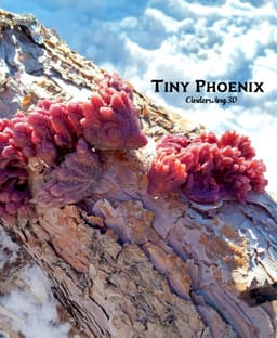 Tiny Phoenix 3d model
