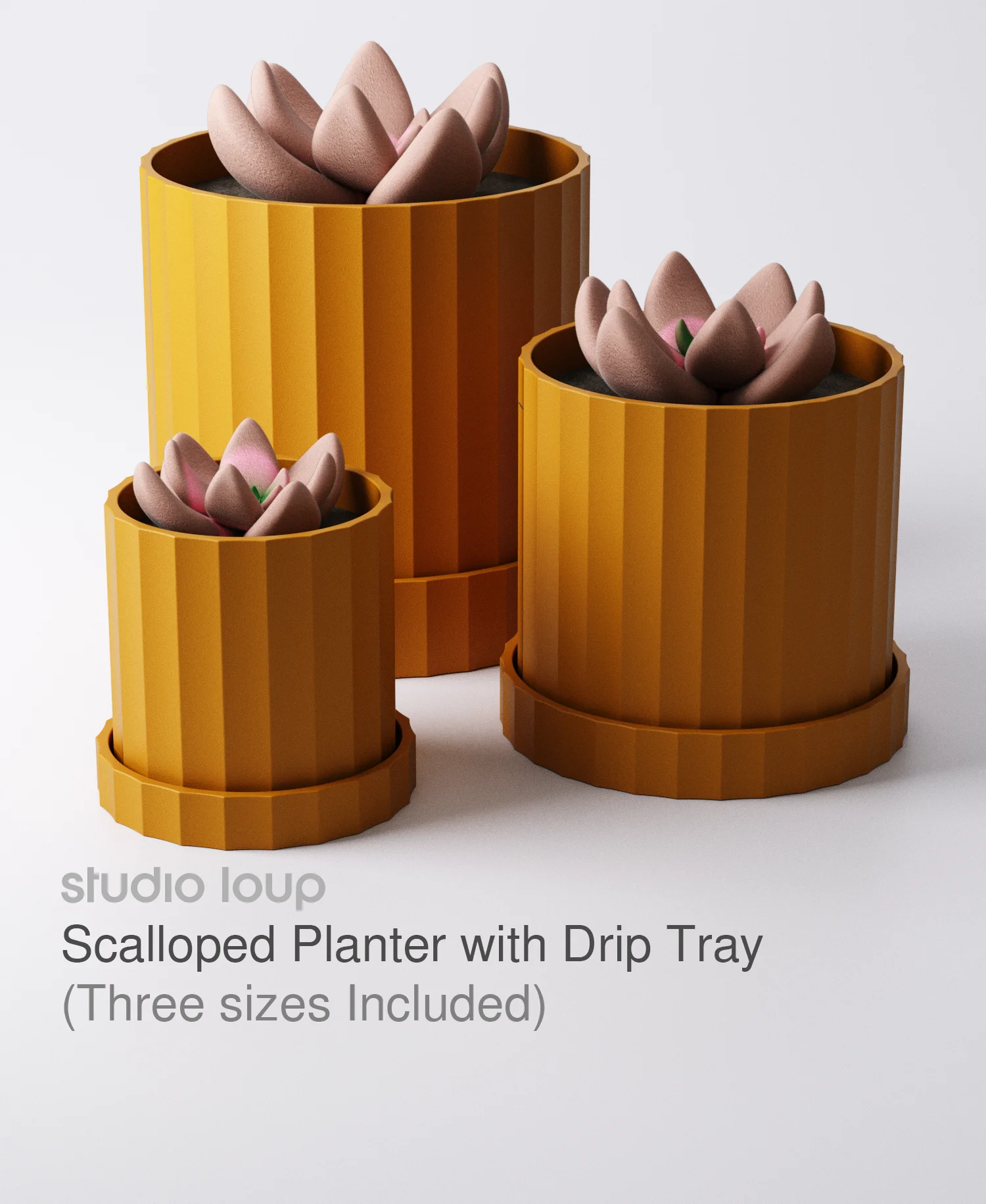 Scalloped Planter with Drip Tray (3 Sizes Included) 3d model