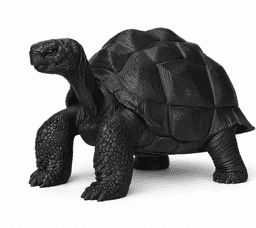 Epic Giant Turtle Sculptural Tabletop Miniature 3d model