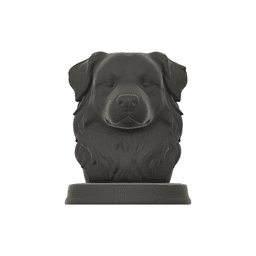 FREE - Australian Shepherd Dog Bust - 3D Printable STL 3MF - Pet Memorial Statue 3d model