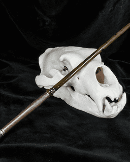 Fenrir Greyback's Wand - Harry Potter 3d model
