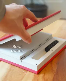 Playbook'd - Checkers 3d model