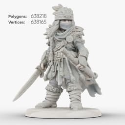 Woven Warrior 3d model