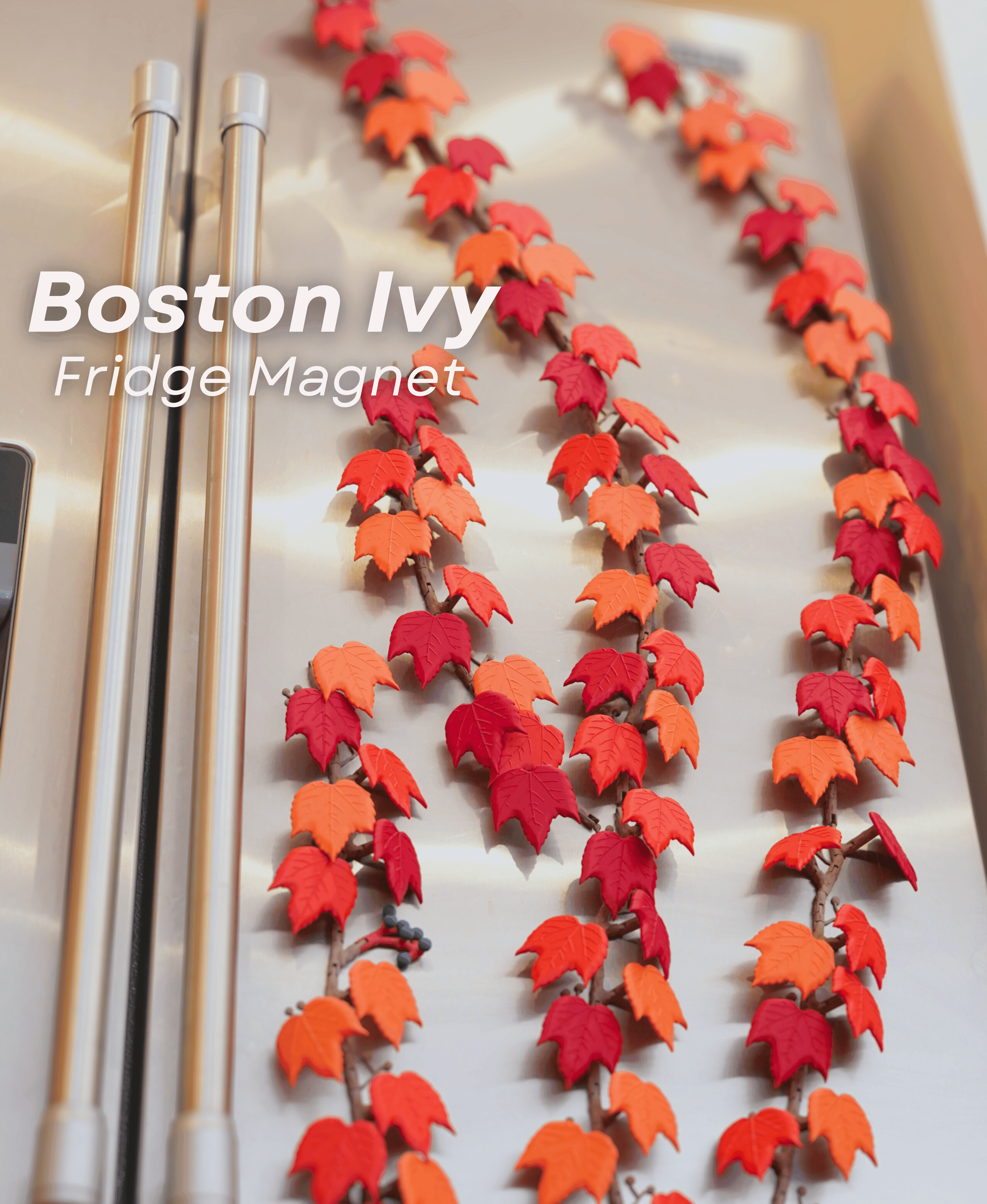 Boston Ivy Fridge Magnet 3d model