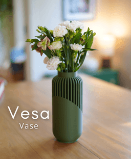 Vesa Vase 3d model