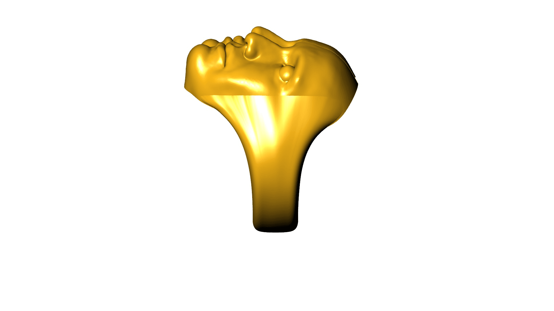 FACE RING 3d model