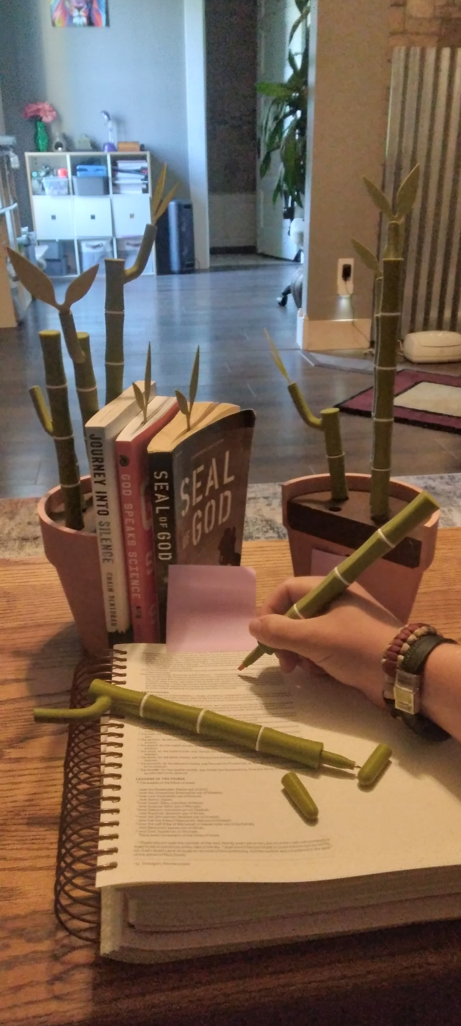 During my Bible study