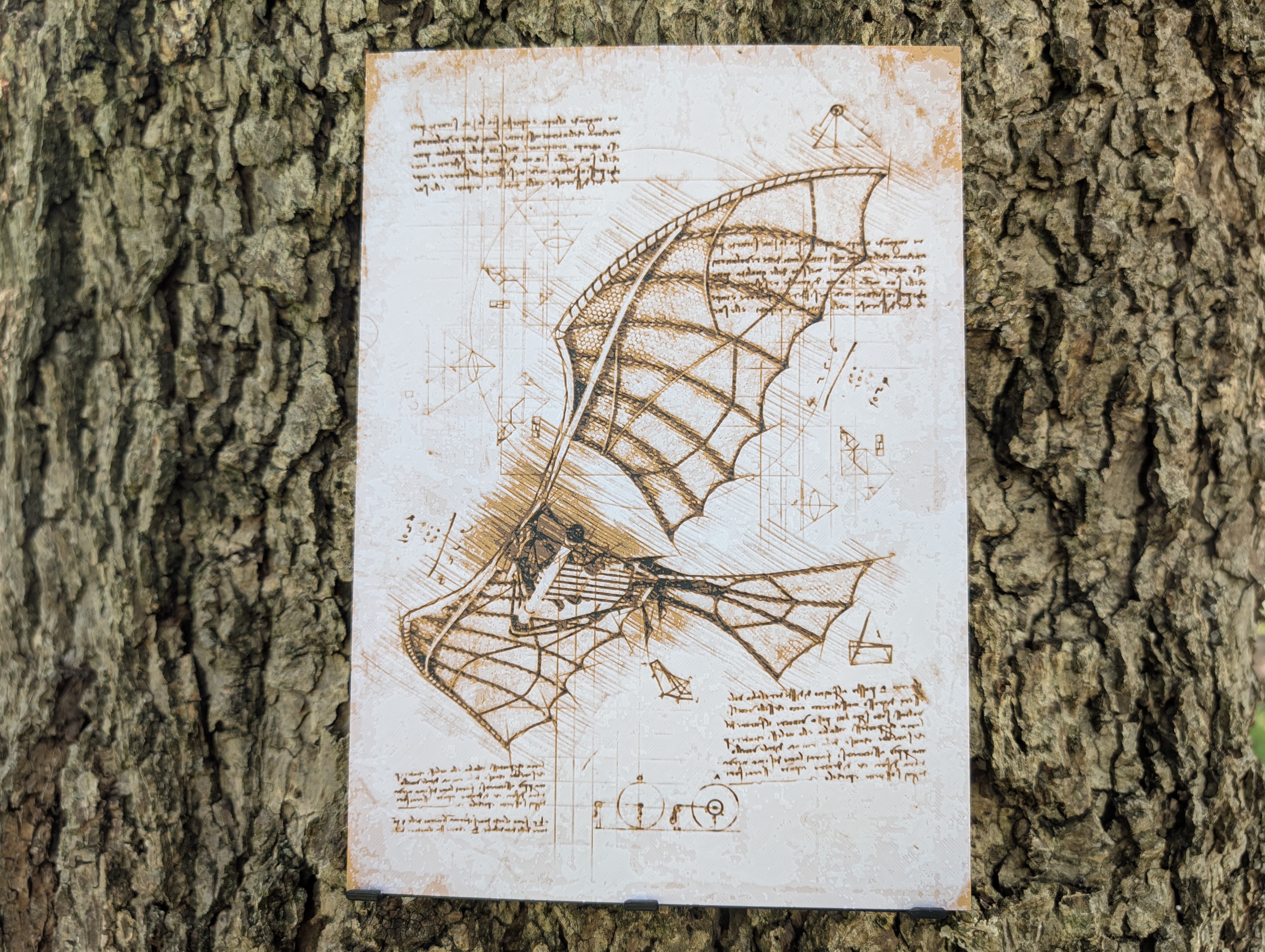 DaVinci's Machines - Flying Machine Filament Painting 3d model