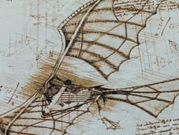 DaVinci's Machines - Flying Machine Filament Painting 3d model