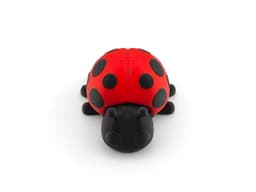 Ladybug 3d model
