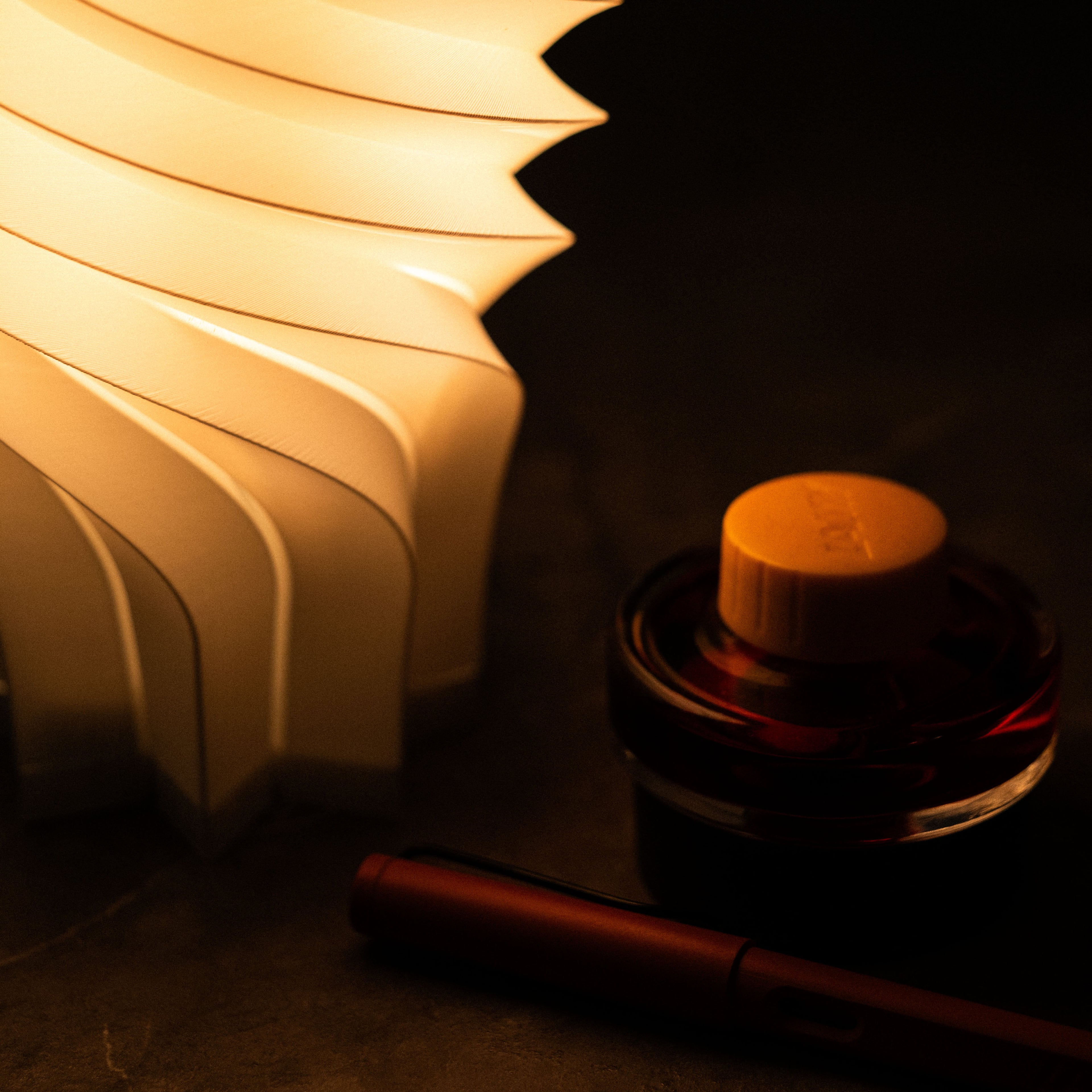 COCOON 3d model