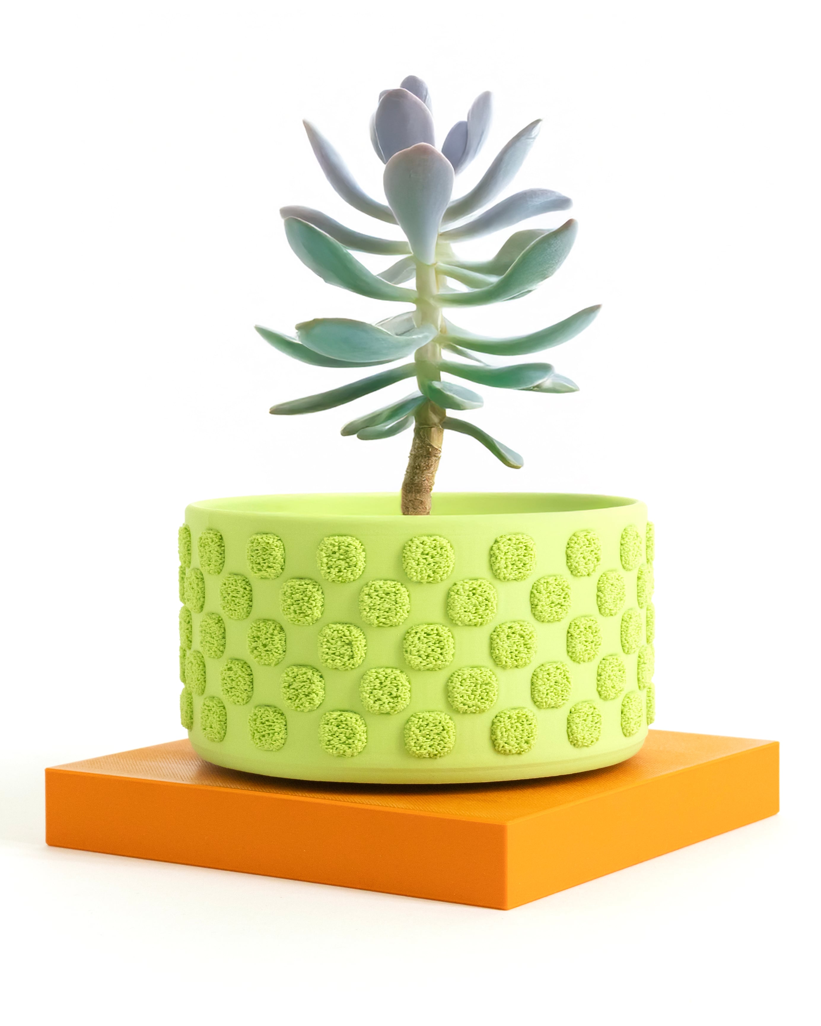 Fuzzy Checkers Planter / Container (120mm) 3d model