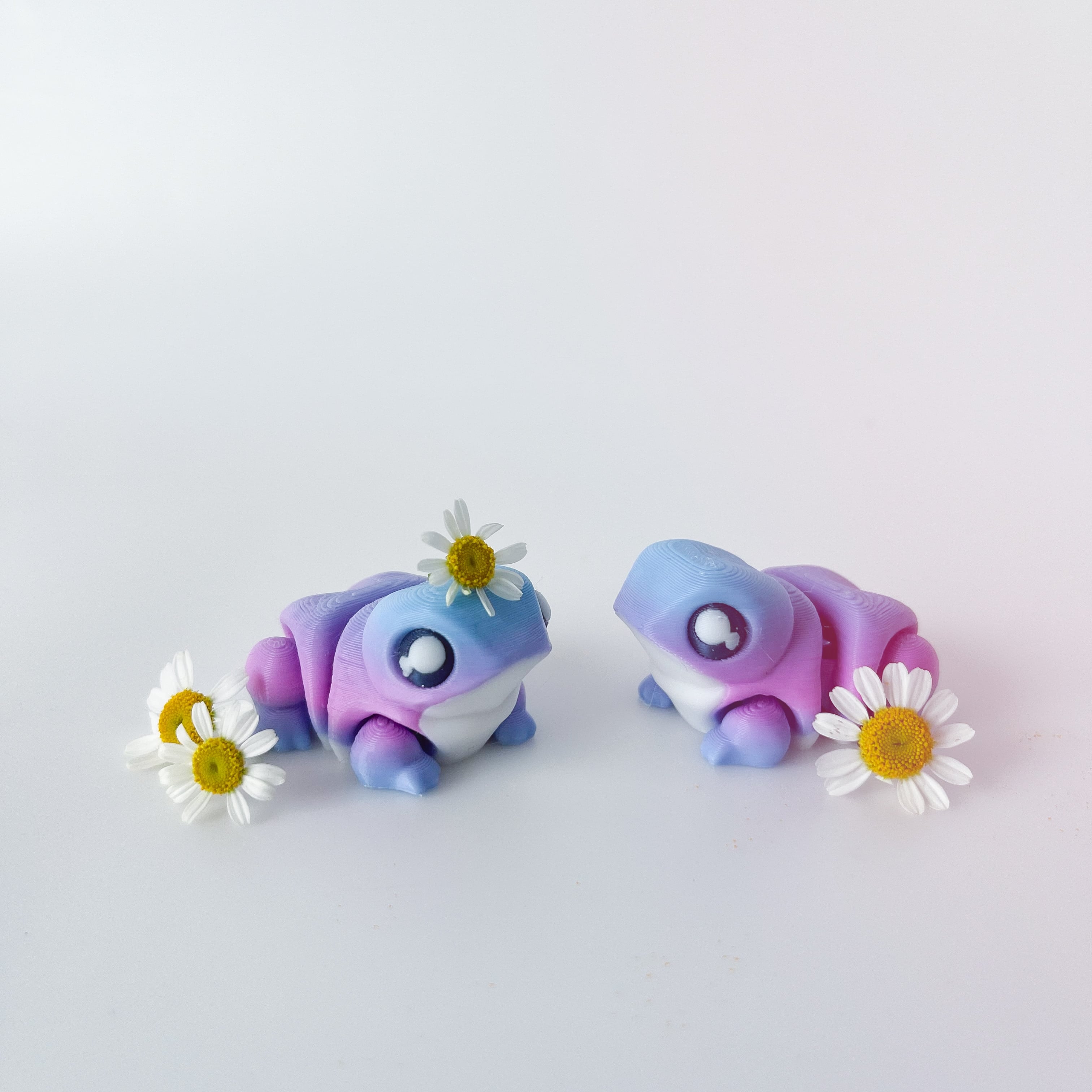 Frog Flexi 3d model