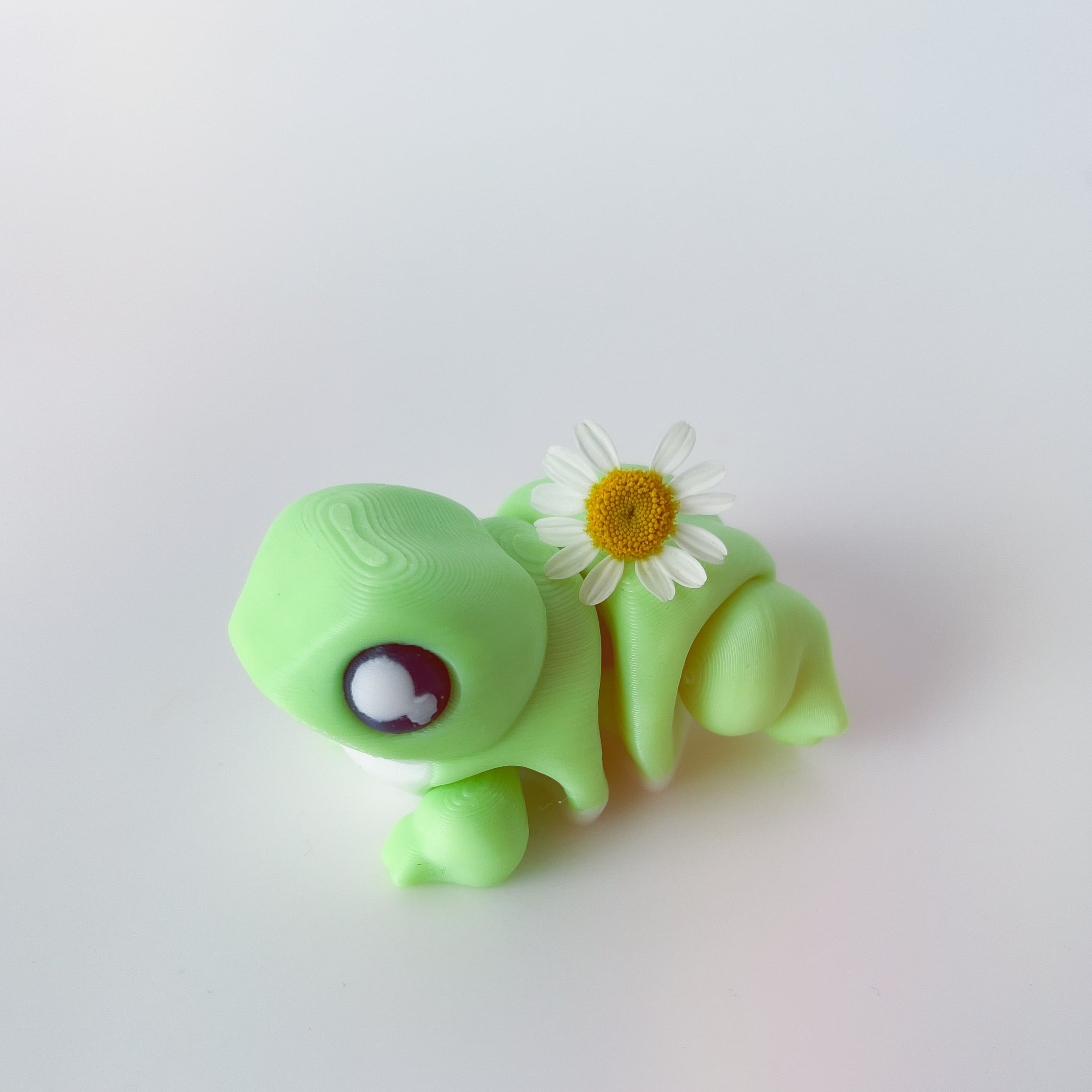 Frog Flexi 3d model