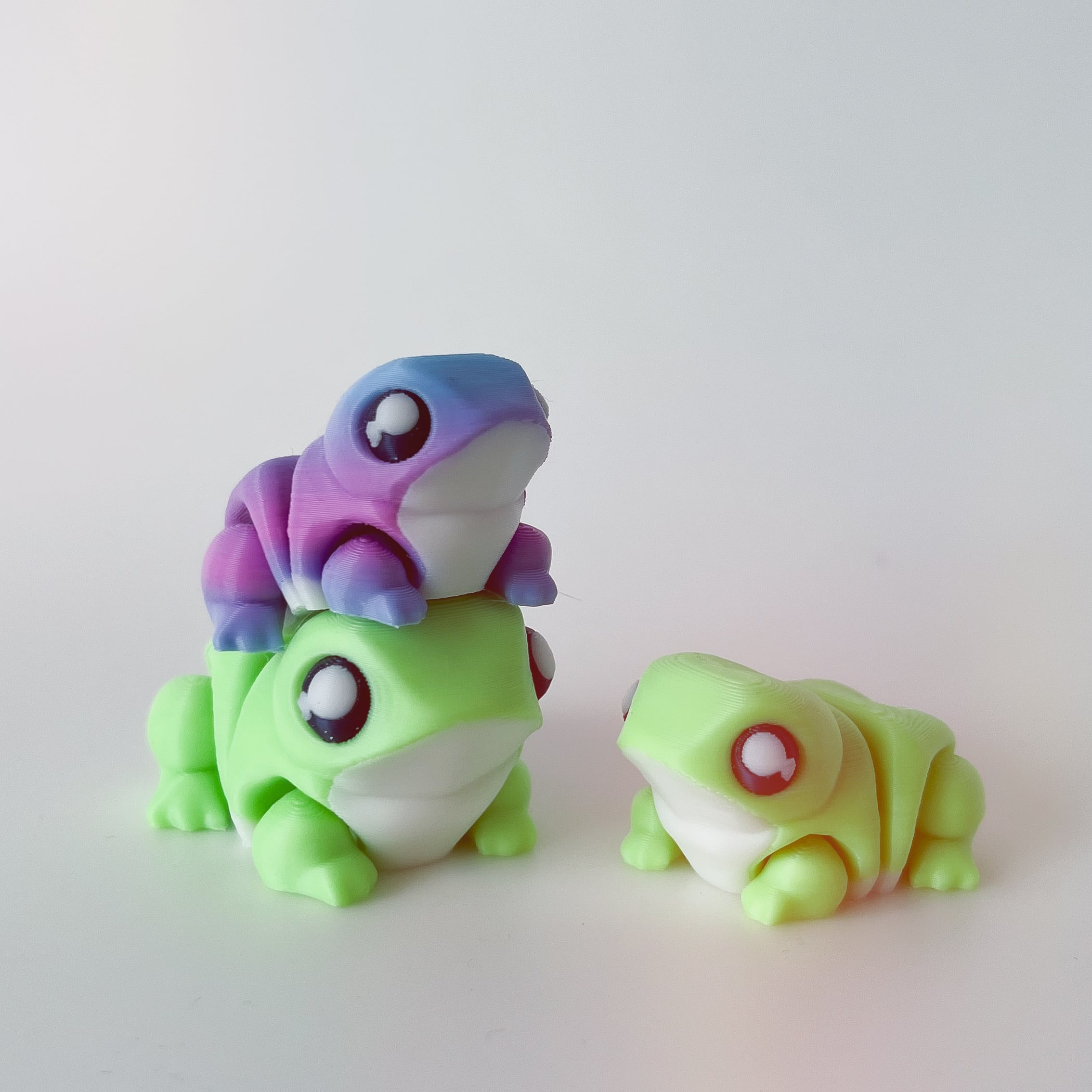 Frog Flexi 3d model