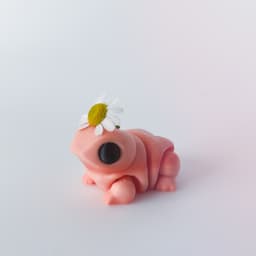 Frog Flexi 3d model