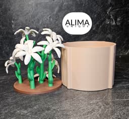 Charming lily plant for the office or home 3d model