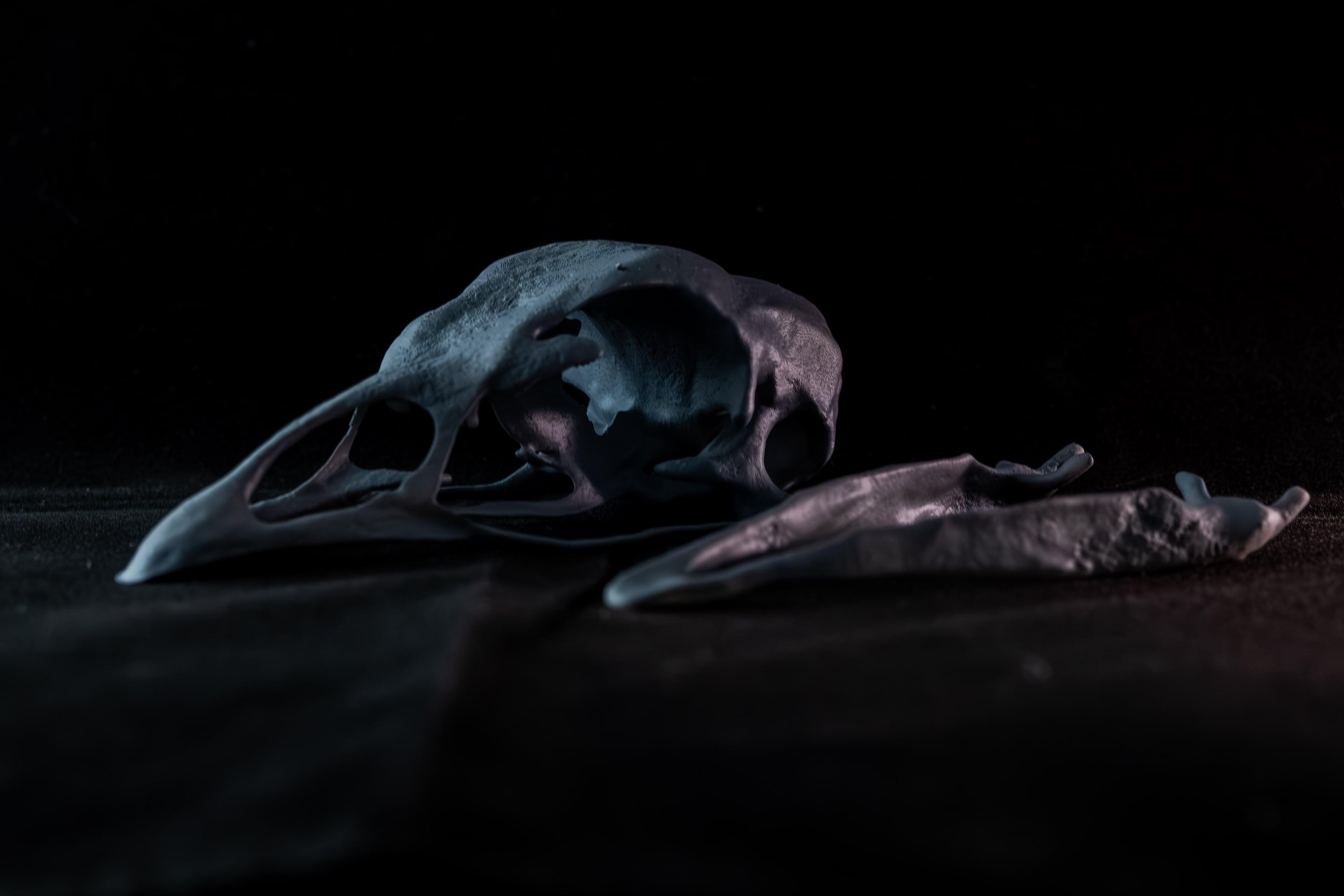 Turkey Skull (Pre Supported) 3d model