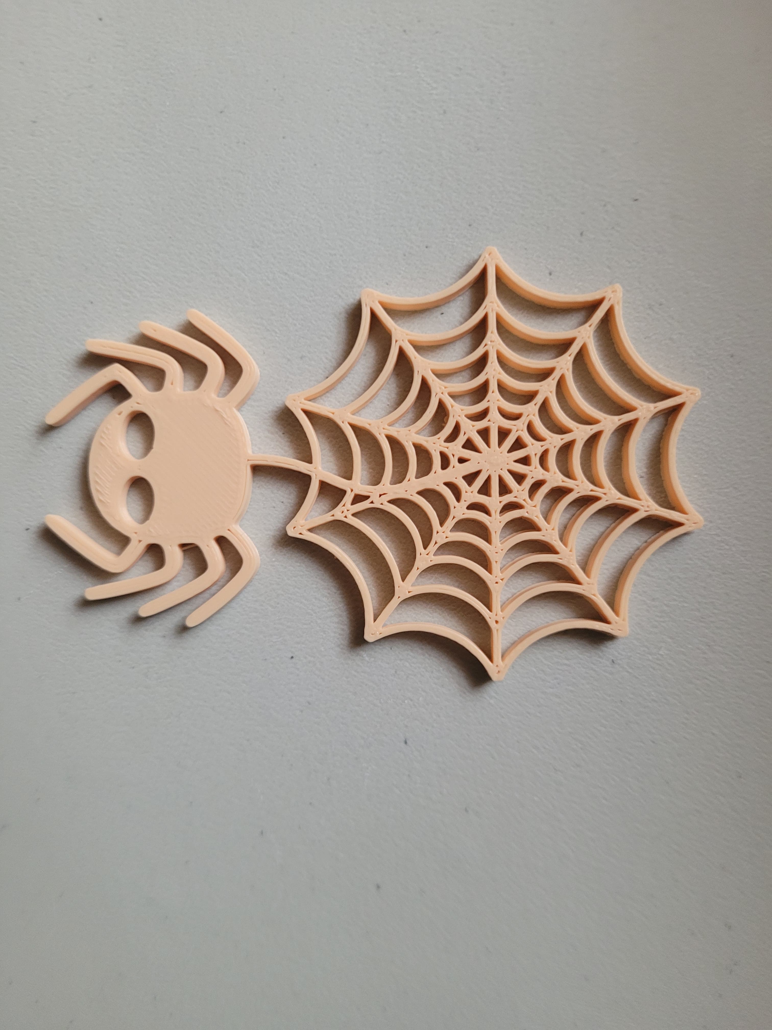 Spider with web 3d model