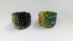 Signet ring rocky y wood! 3d model
