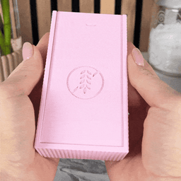 Gluten-Free Crackers Box Holder 2.0: The Ultimate Way to Carry Your Crackers! 3d model