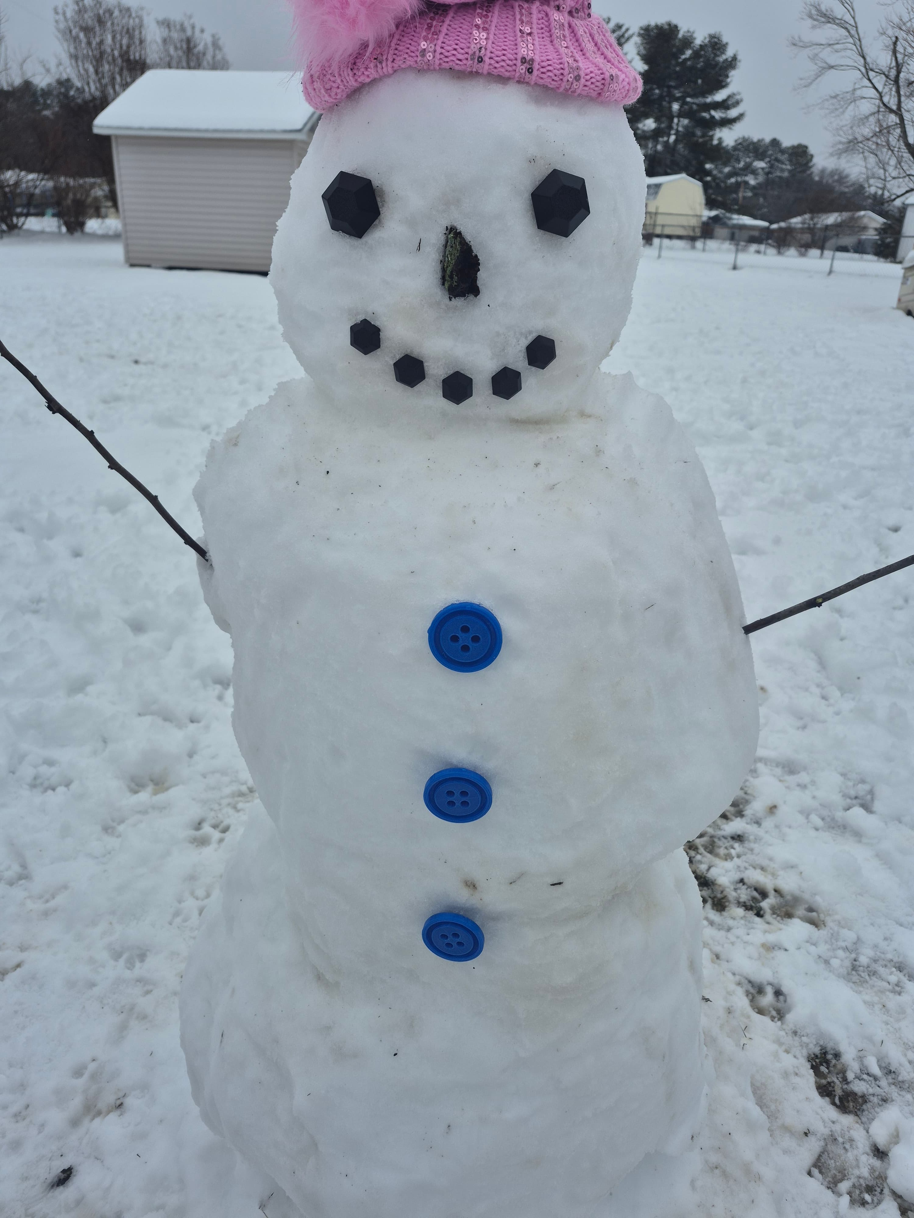 My kids loved it.