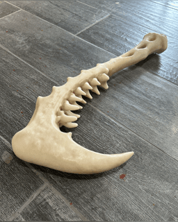 Tribal Bone Jaw Hook Barbarian Cosplay Prop 3d model