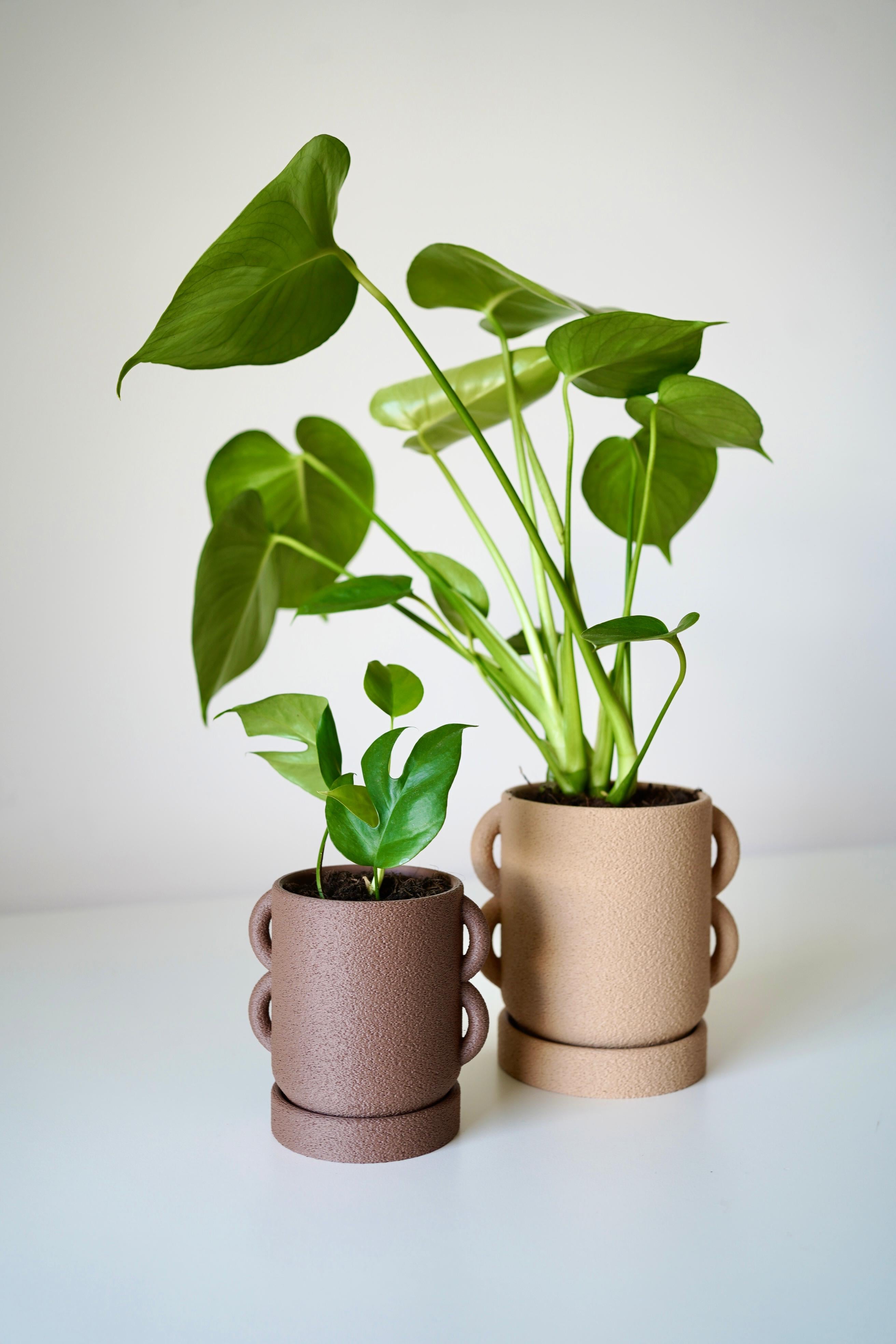 UCHO planter 3d model