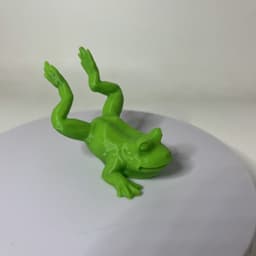 Frog on belly 3d model