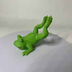 Frog on belly 3d model