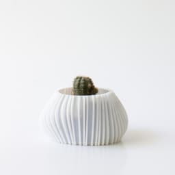 Small asymmetrical organic planter 3d model