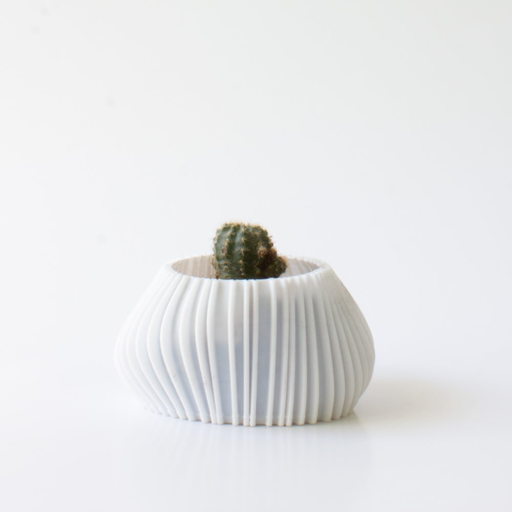 Small asymmetrical organic planter 3d model
