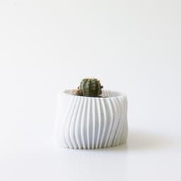 Small asymmetrical organic planter 3d model