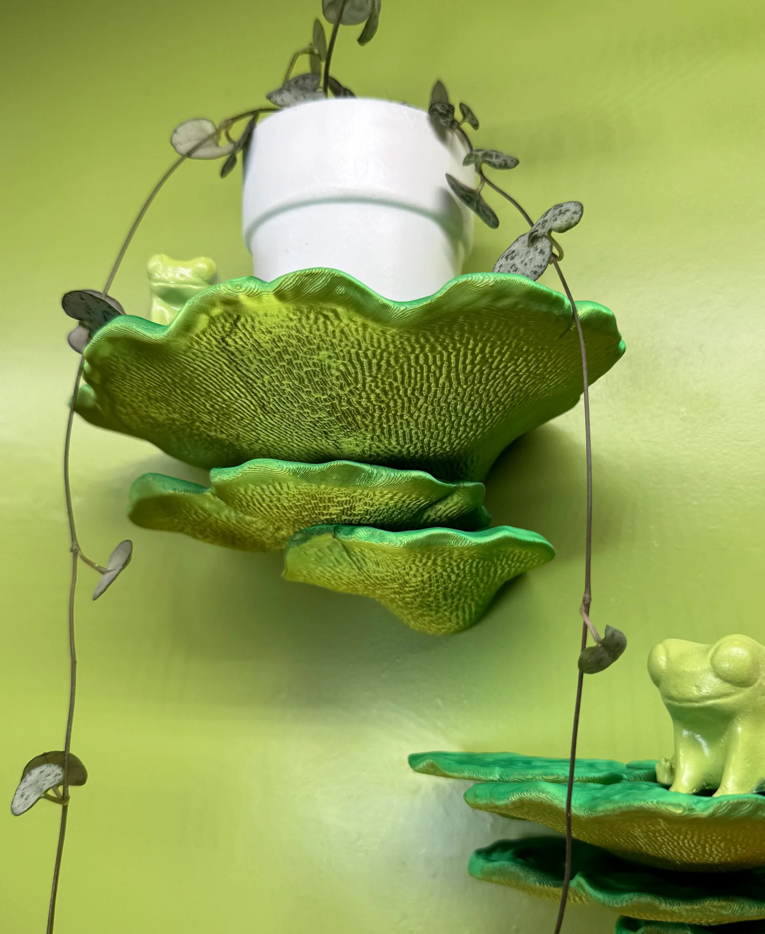 Mushroom shelf “Trametes Hirsuta” 3d model