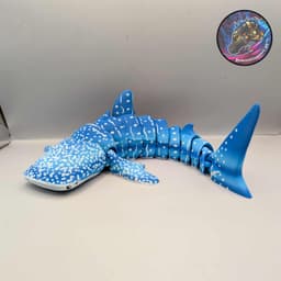 flexi whale shark 3d model