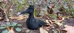 Canadian Plague Doctor Goose 3d model
