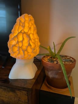 MOREL TABLE LAMP (3D SCANNED MUSHROOM) 3d model