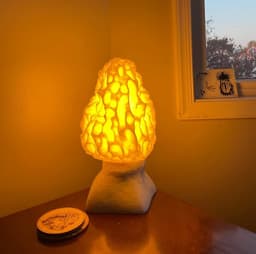 MOREL TABLE LAMP (3D SCANNED MUSHROOM) 3d model