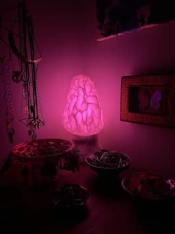 MOREL TABLE LAMP (3D SCANNED MUSHROOM) 3d model