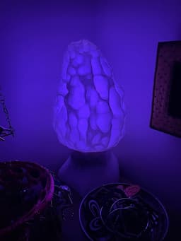 MOREL TABLE LAMP (3D SCANNED MUSHROOM) 3d model