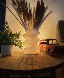 Fluid Vase with a Secret. 3d model