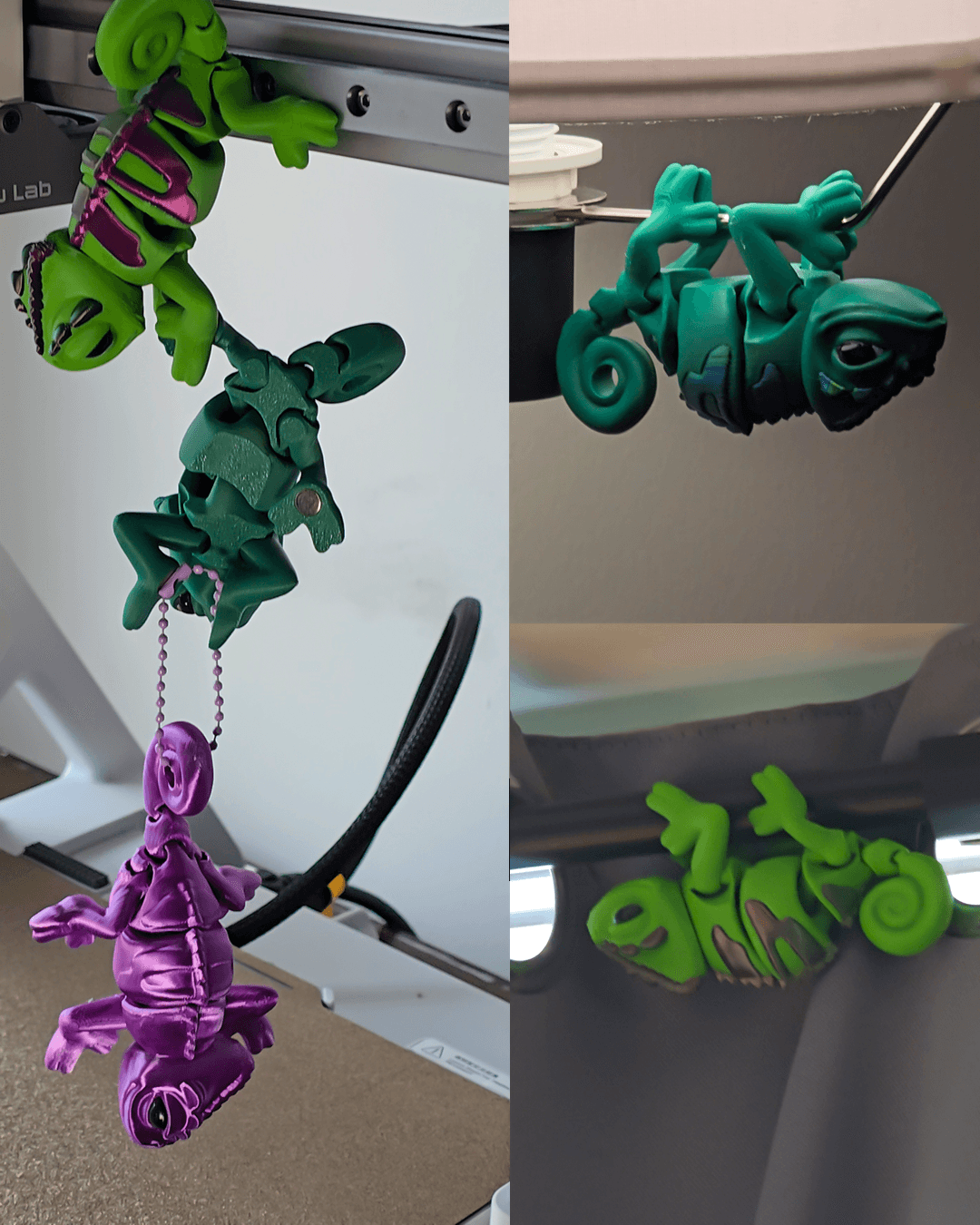 3DL Chameleon 3d model