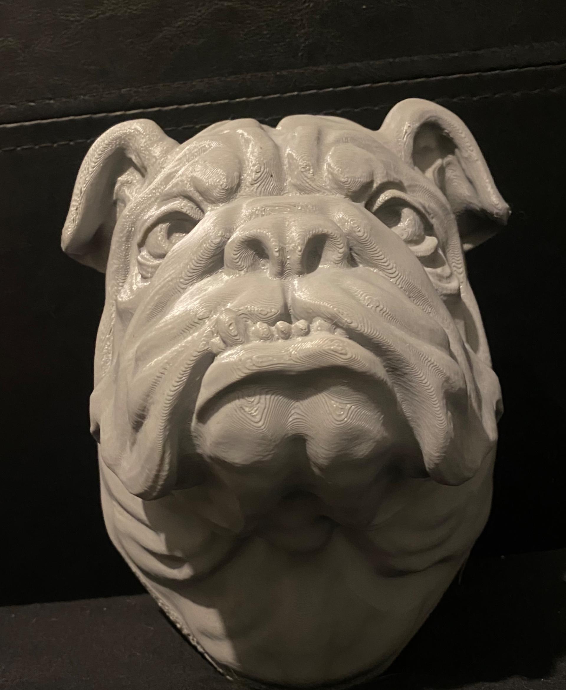 Bulldog - Wall Decoration - Had I bit of trouble at the start it started lifting I just held it down for a few layers then used a nail file to flatten it out 
Would be better if the first layer covered the hole base 
Overall I’m very happy with the design I upsized it by 150%
Thanks for sharing  - 3d model